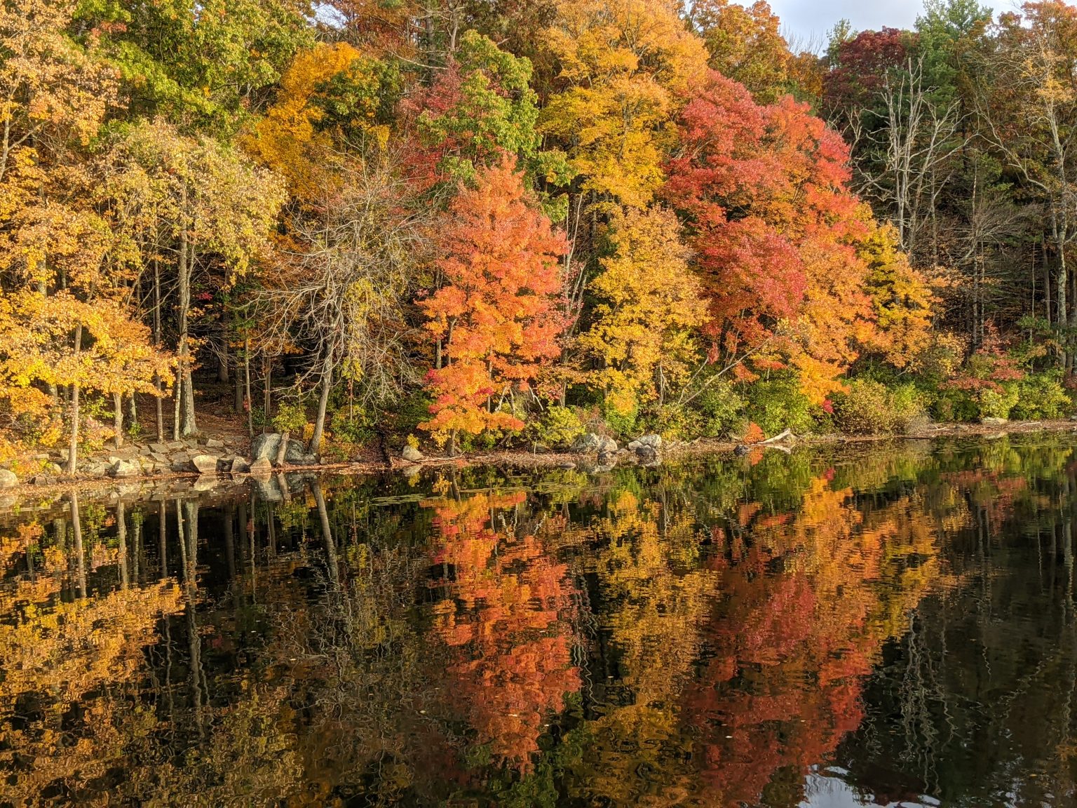 Fall leaves reflected Ashland State Park - Ashland State Park