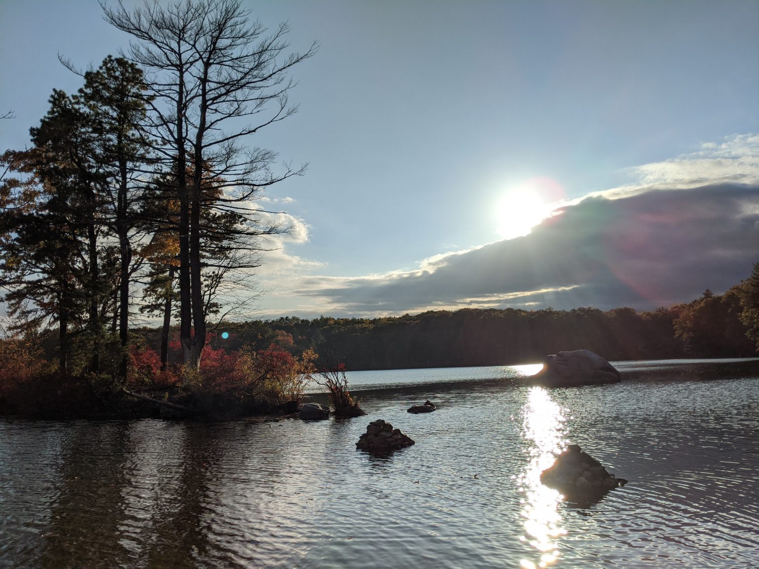 Escape to Nature's Embrace: Unwinding at Ashland State Park