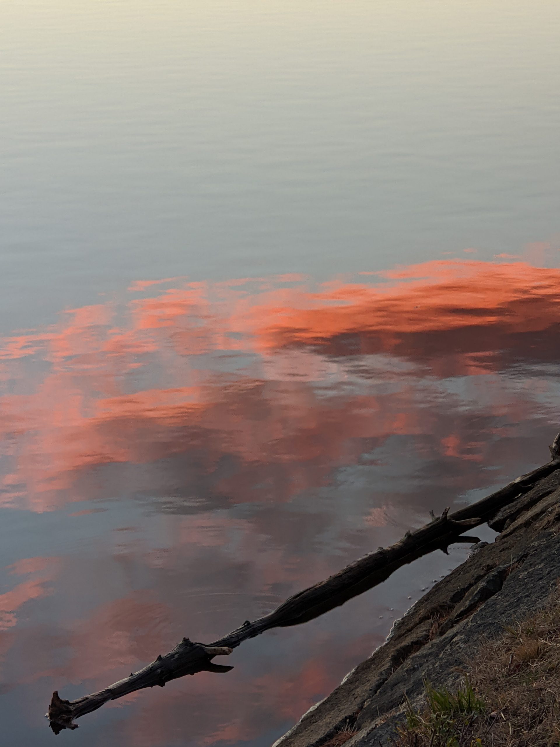 Sunset reflection & floating log - Ashland Reservoir - Ddecember 2020