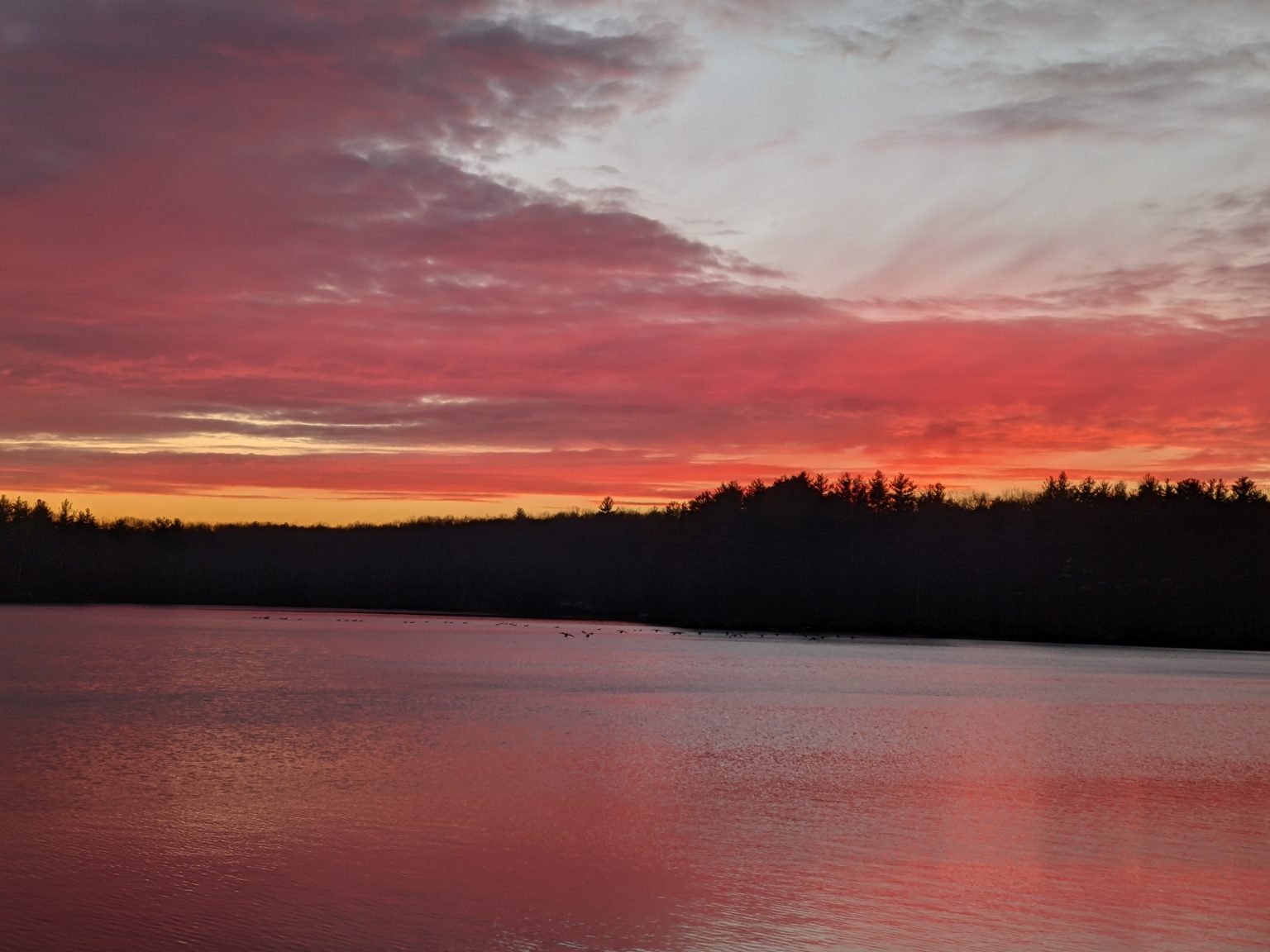 Salmon Sunset January 6, 2021 Ashland State Park Ashland State Park